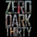 追擊拉登行動 (Zero Dark Thirty)電影圖片1