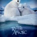 北極熊心 (IMAX 3D 粵語版) (To The Arctic)電影圖片1