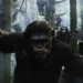 猿人爭霸戰：猩凶崛起 (3D 全景聲版)電影圖片 - eh002_0010_1647_comiconCC_1389785045.jpg