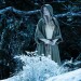 黑魔后：沉睡魔咒 (3D版) (Maleficent)電影圖片4