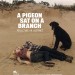 鴿子在樹上反思存在意義 (A Pigeon Sat on a Branch Reflecting on Existence)電影圖片1
