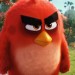 憤怒鳥大電影 (3D 英語版) (The Angry Birds Movie)電影圖片6