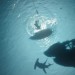 加勒比海盜：惡靈啟航 (3D IMAX版)電影圖片 - POTCDMTNT_04125505_2k_p3_1494427710.jpg