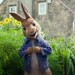 比得兔 (英語版) (Peter Rabbit)電影圖片2