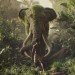 毛克利：魔森叢現 (Mowgli: Legend of the Jungle)電影圖片6