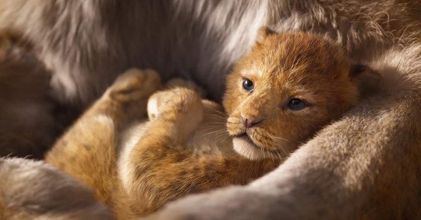 獅子王 (2D IMAX 英語版)電影圖片 - 2_1543024702.jpg