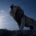 獅子王 (3D 英語版)電影圖片 - 4_1543024703.jpg