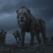 獅子王 (2D IMAX 英語版)電影圖片 - TLK-ONLINE-USE_058_MD_0292_comp_v0234_REC709.1005_1559219420.jpg
