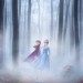 魔雪奇緣2 (2D IMAX 英語版)電影圖片 - FB_IMG_1560182096342_1560228832.jpg