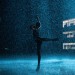 飛躍芭蕾 (Yuli)電影圖片3