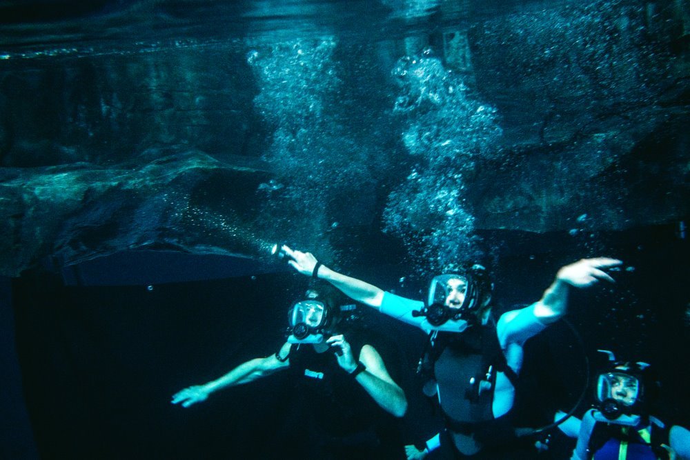 鯊海47米：狂鯊出籠 (Onyx版)電影圖片 - 08_1569405589.jpg