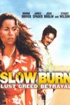 邊城奪寶記 (Slow Burn)電影海報