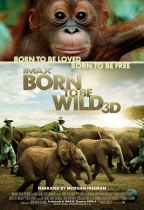 天生愛自由  (3D IMAX 粵語版) (Born to be Wild 3D)電影海報