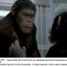 猿人爭霸戰：猩凶革命 (A Rise of the Planet of the Apes)電影圖片3