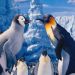 3D 踢躂小企鵝 2 (英語版)電影圖片 - HappyFeet2in3D_06_1321607543.jpg