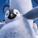 3D 踢躂小企鵝 2 (英語版)電影圖片 - HappyFeet2in3D_14_1321607548.jpg