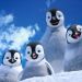 3D 踢躂小企鵝 2 (英語版)電影圖片 - HappyFeet2in3D_21_1321607553.jpg