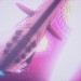 劇場版 蒼藍鋼鐵戰艦Cadenza電影圖片 - Arpeggio_Cadenza_still5_1451549401.jpg