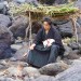 貓侍：萌主現身 (Neko Samurai- A Tropical Adventure)電影圖片3