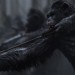 猿人爭霸戰：猩凶巨戰 (3D 全景聲版)電影圖片 - p2453180073_1494912413.jpg