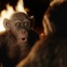 猿人爭霸戰：猩凶巨戰 (2D 全景聲版) (The War for the Planet of the Apes)電影圖片5