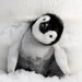 小企鵝大長征2電影圖片 - MOP_4_1500298788.jpg