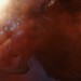 悍戰太平洋2：起義時空 (3D 全景聲版)電影圖片 - 2017-10-07_105634_1507345296.jpg