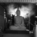 大佛普拉斯 (The Great Buddha+)電影圖片5
