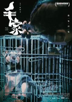 毛家電影圖片 - poster_1736473138.jpg