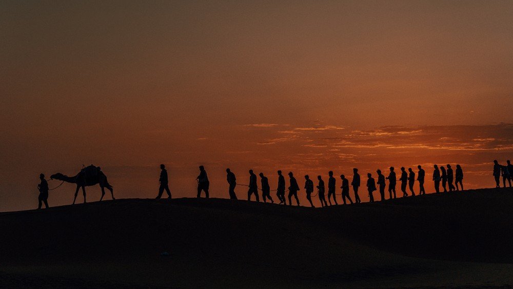 用武之地電影圖片 - 1_1768399825.jpg