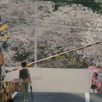 真人版 秒速5厘米圖片