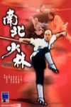 南北少林 (Martial Arts of Shaolin)電影海報