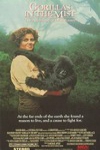 迷霧森林十八年 (Gorillas In The Mist: The Story Of Dian Fossey)電影海報