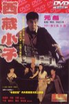 西藏小子電影海報