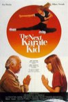 新小子難纏 (The Next Karate Kid)電影海報