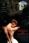 情色風暴 (Angels and Insects)電影海報