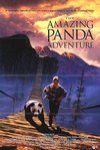 小貓熊歷險記 (The Amazing Panda Adventure)電影海報
