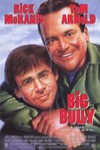 不是冤家不聚頭 (Big Bully)電影海報