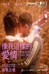 像我這樣的愛情電影海報