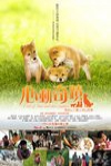 心動奇蹟：瑪莉與3隻小狗的故事 (A Tale of Mari and Three Puppies)電影海報