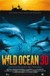 海洋探秘3D電影海報
