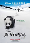 熊貓回家路電影海報
