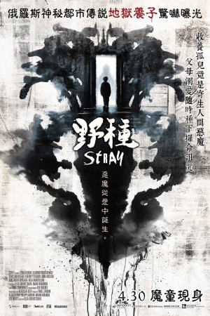 野種電影海報
