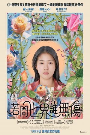 若問世界誰無傷電影海報