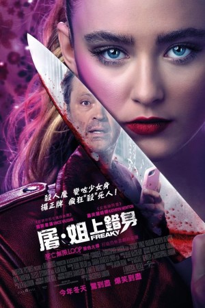 屠・姐上錯身電影海報