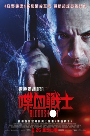 喋血戰士電影海報
