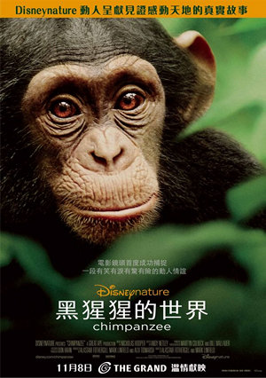 黑猩猩的世界電影海報