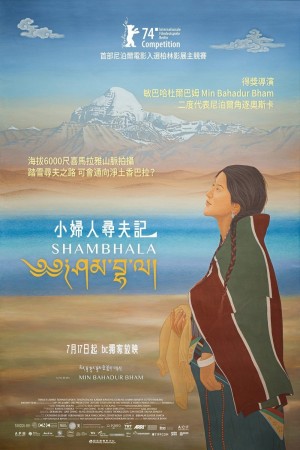 小婦人尋夫記電影海報