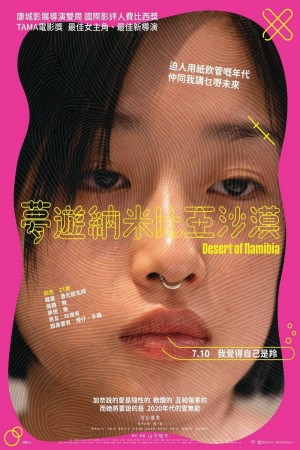 夢遊納米比亞沙漠電影海報