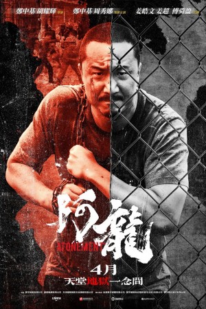阿龍電影海報